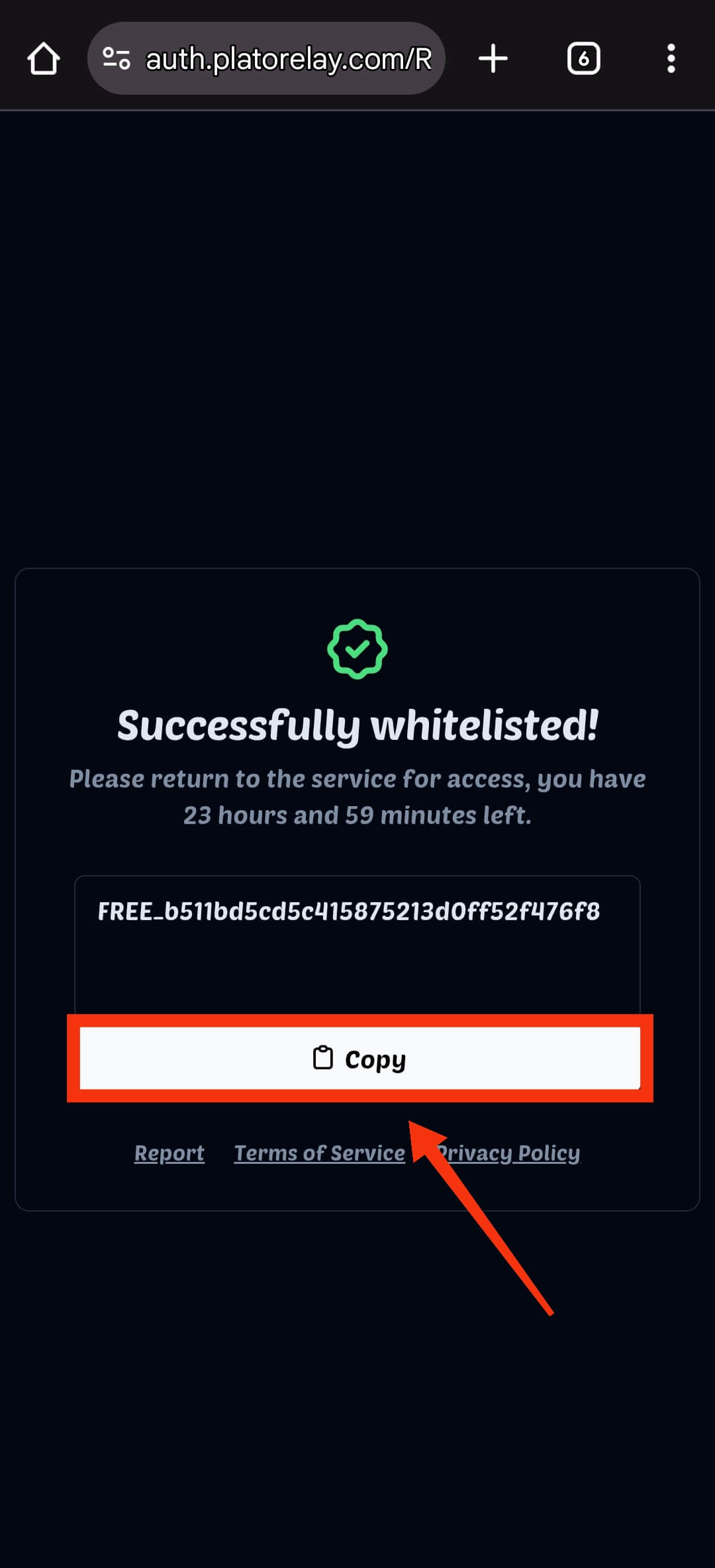 Copy Key from Browser