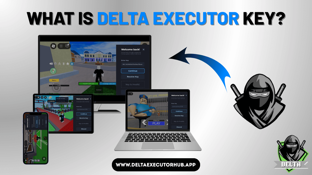 What is the Delta Executor Key?